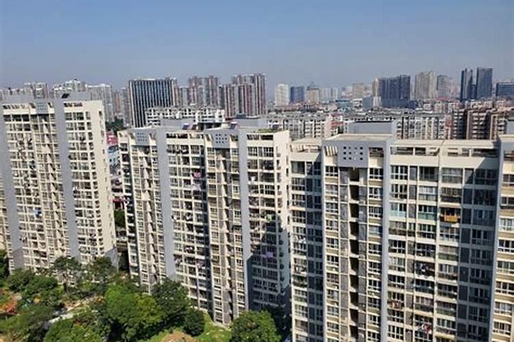 客厅的柜子上面摆什么好
