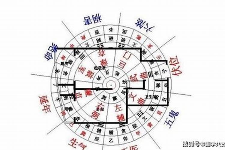 楼顶种菜好吗