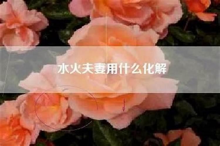 阳宅大门最吉的方位 位置与朝向风水 最吉尺寸？
