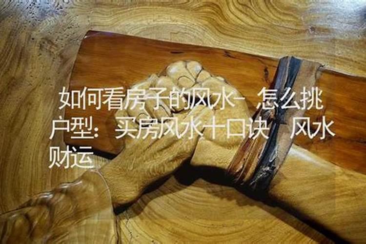 河津有哪些特色的村落值得游览？