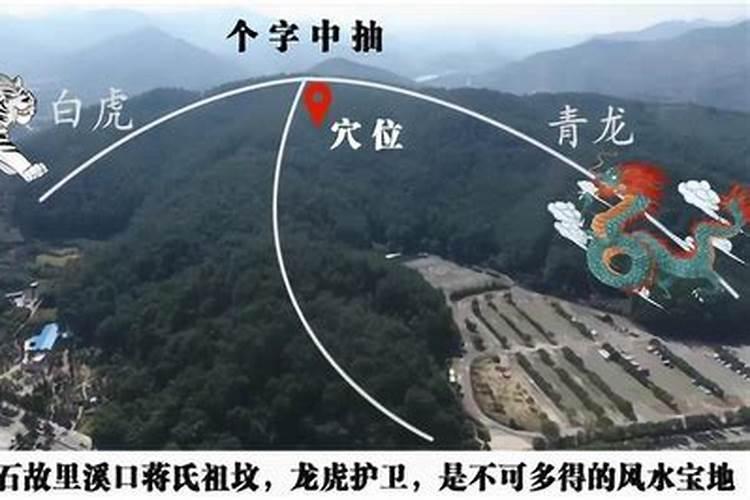 身弱官杀旺做什么职业比较好？