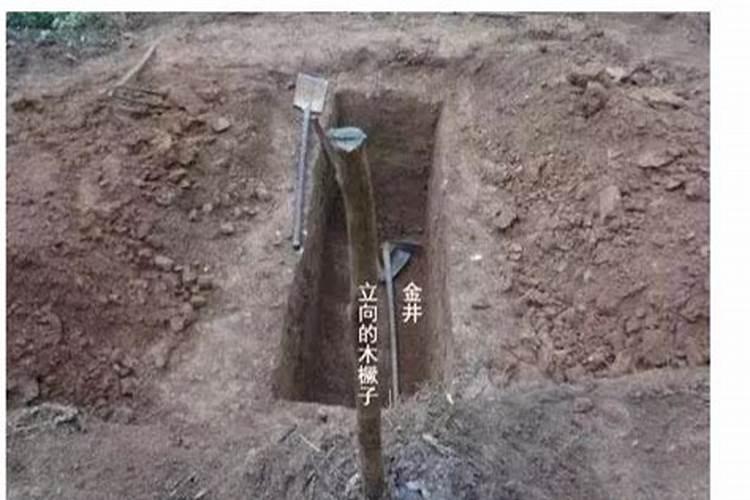 风水小说排行榜
