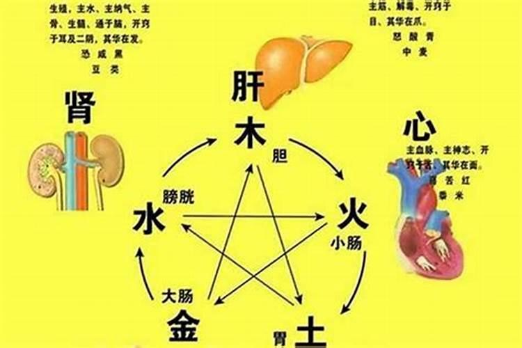 什么八字的人才适合学习风水玄学？