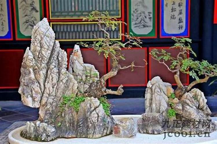 院墙的意思