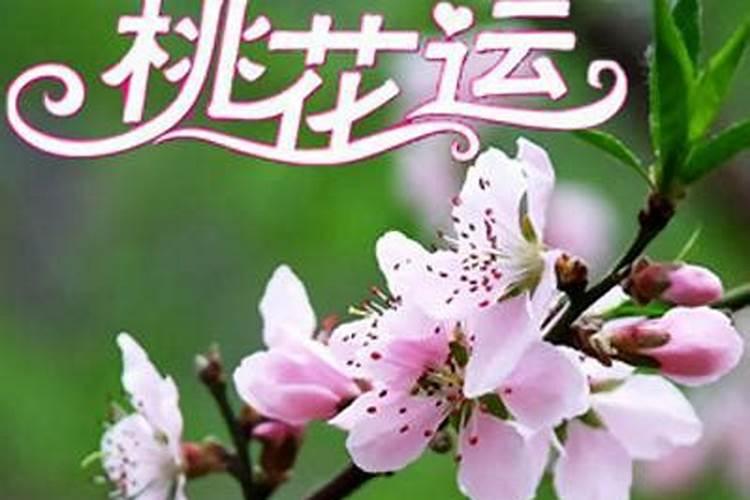 旺桃花运的风水布局讲究