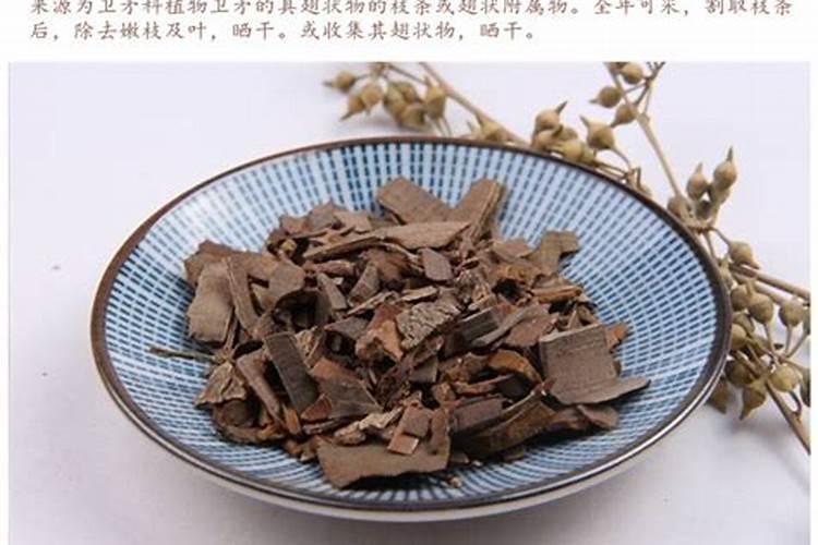榕树的功效与作用,榕树叶的功效与作用