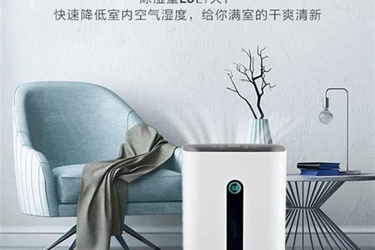 摇钱树适合放办公室吗 放什么位置风水好