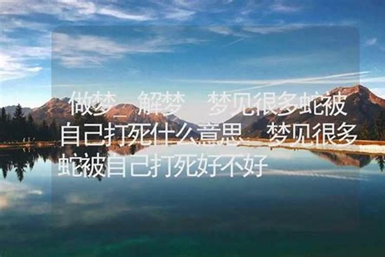 梦到了风水师是什么征兆