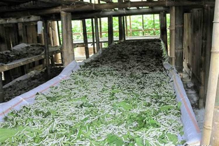 卧室可以放鞋柜吗