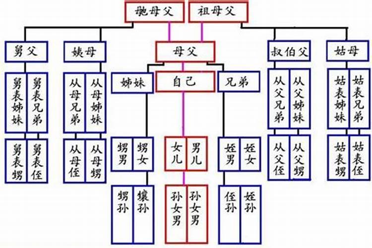 风水师董易林被抓是哪一集