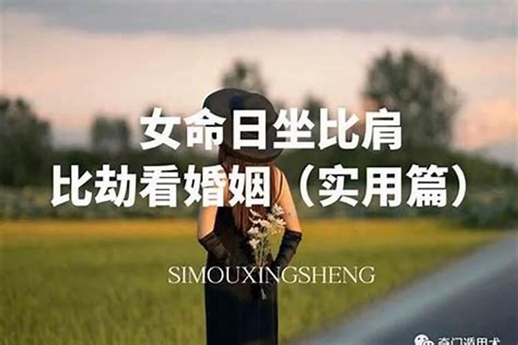 《儒林外史》的讽刺艺术有哪些特点