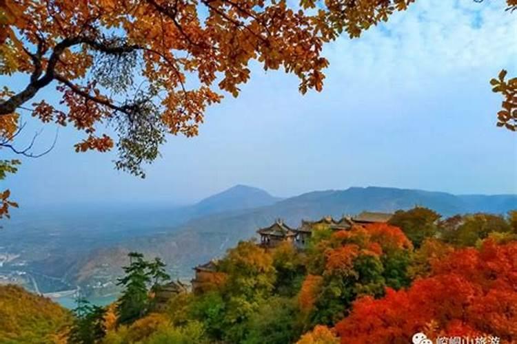 风水大师杨救贫生平？