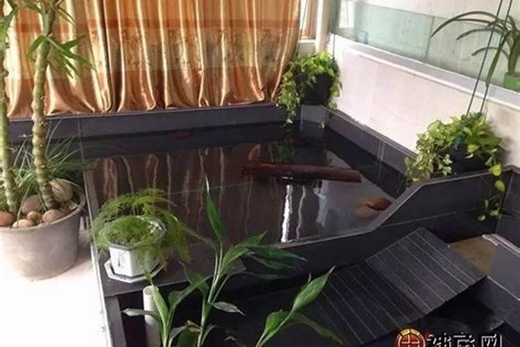 入户做乌龟池好吗,在风水上有什么讲究