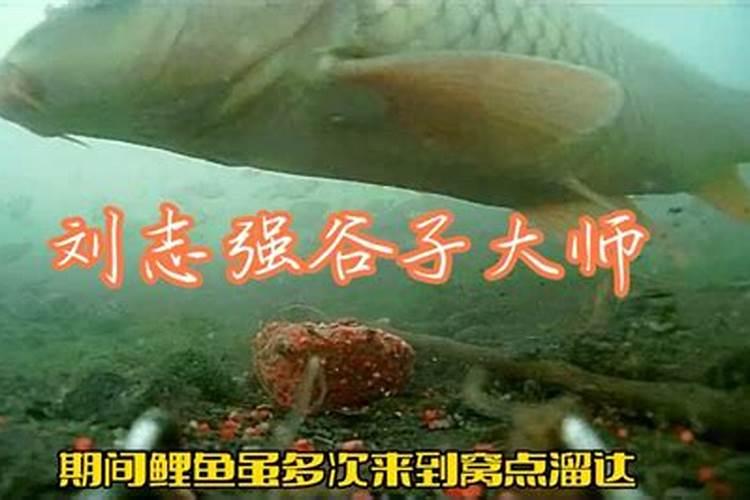 看风水一般给多少钱