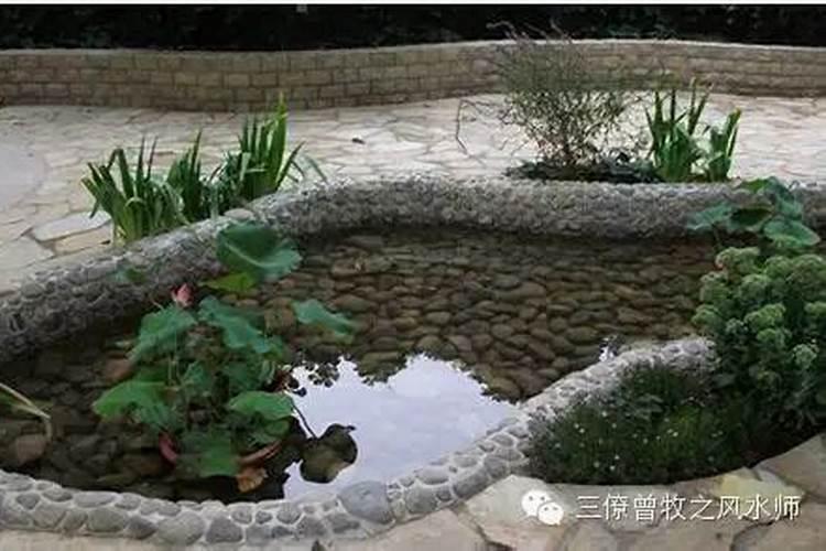 发财最猛的阳宅风水让儿子有出息的风水布置