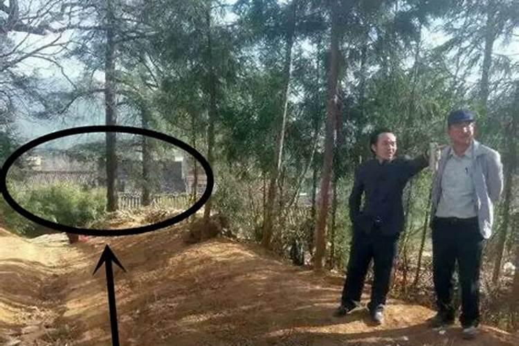 命理风水易学导师:中国风水大...