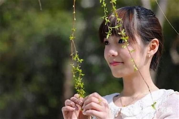 风水上什么龙虎回头