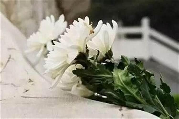 陈益峰:立向莫犯空亡线