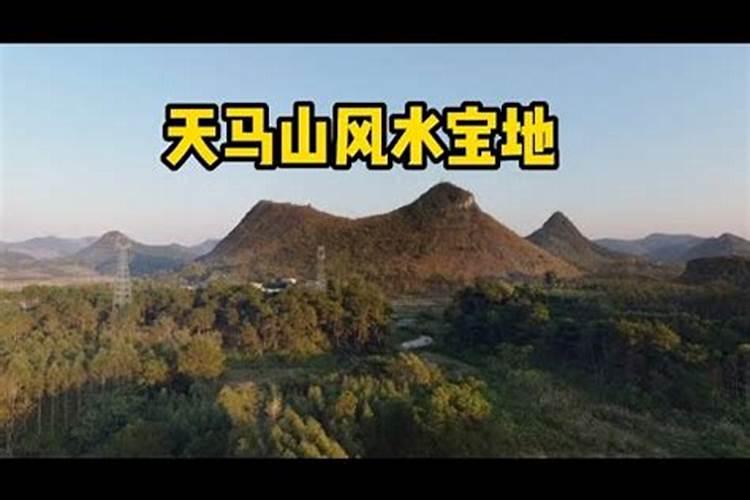 在线揭秘香港风水师捞金传奇,身价过亿的风水大师那些不为人知的...