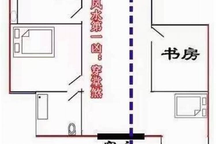 深圳水库坐几路公交车到沙湾火葬场