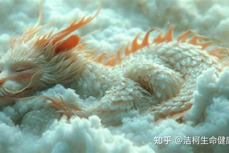风水用小青龙,什么样,那里有卖,求图片,谢谢!
