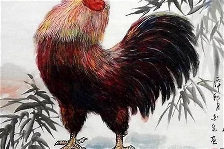 老鼠佩戴什么生肖最旺桃花