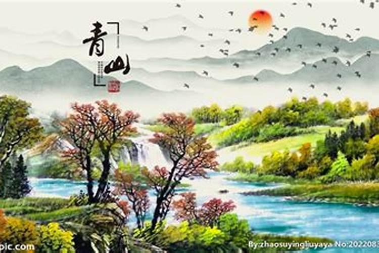 懂风水的进来,急求