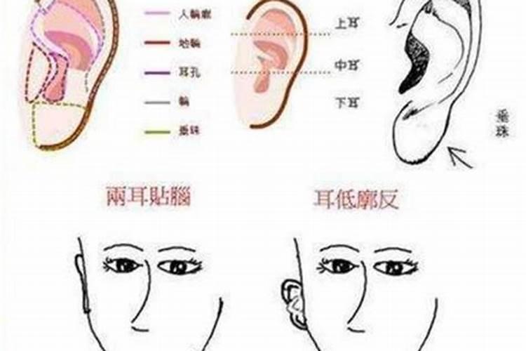 耳相学风水知识 判断吉凶的基本规则