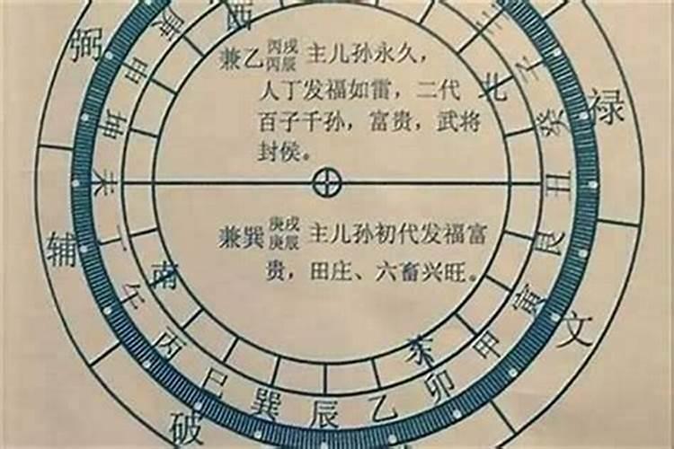家中养什么风水鱼最好最旺
