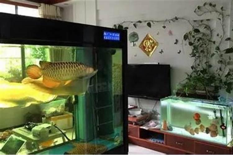 鱼缸摆放在什么位置好呢？