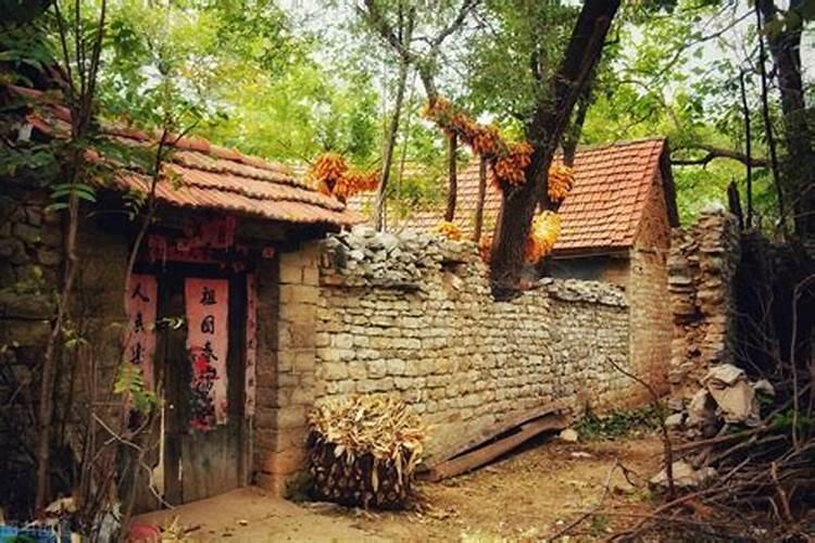 方舟手游蜂巢该放在哪里土蜂窝放在什么地方好