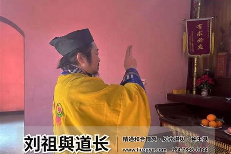 屋后种什么树最旺