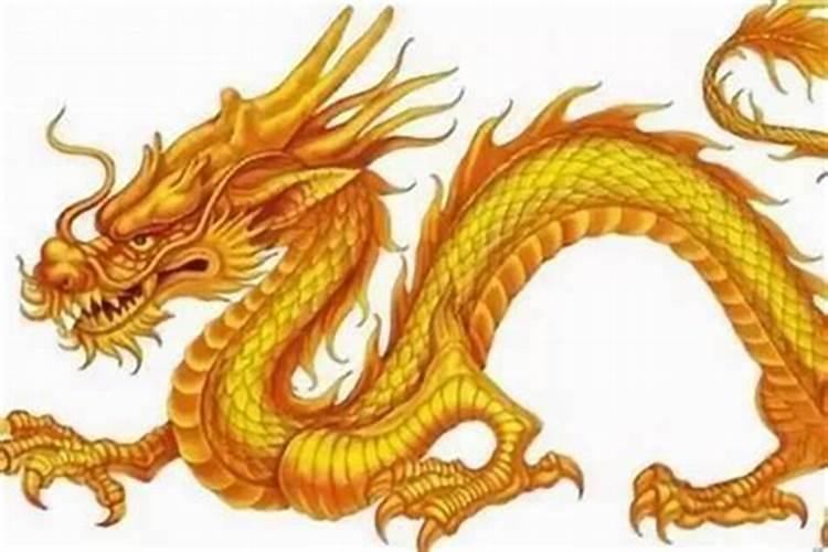 为什么说属龙人33岁最苦 属龙33岁会怎样