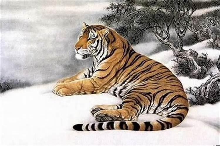 生肖与家庭风水关系