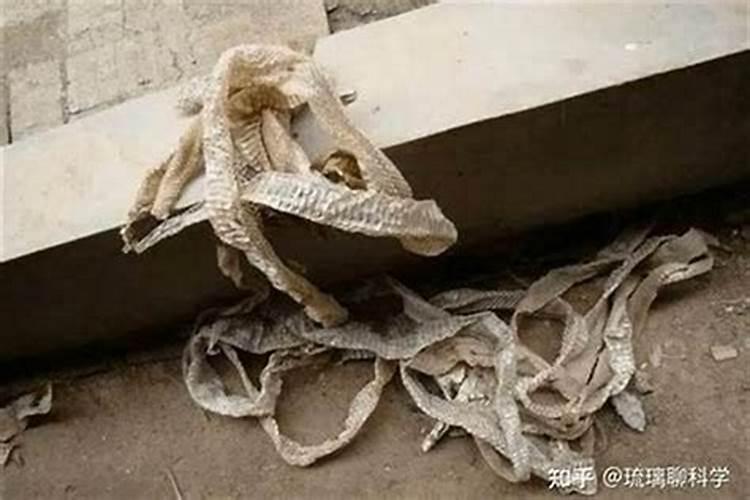 阳宅风水四象:青龙、白虎、朱雀、玄武。