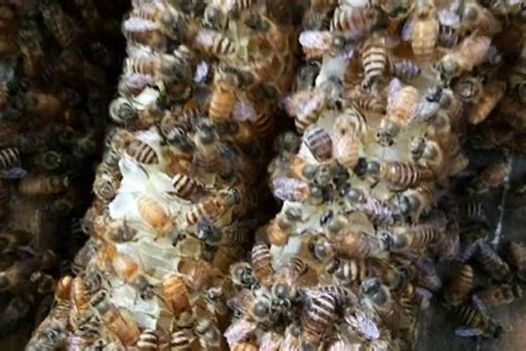 临潼新丰贾村神仙算命准吗