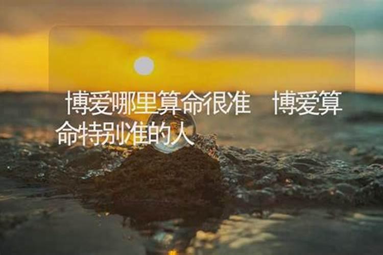 蔡伯励的人物经历