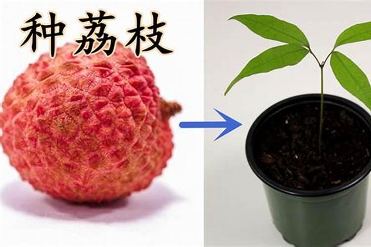 康美镇乡镇概况