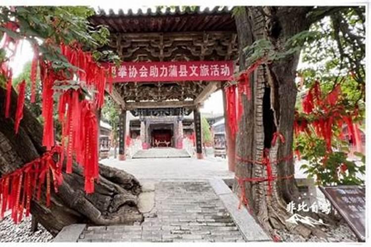 放生乌龟应注意什么事项？