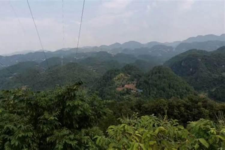 福建陈嘉耕先生是谁？