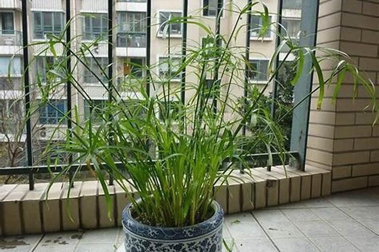 2022襄阳汉城景区游玩路线推荐