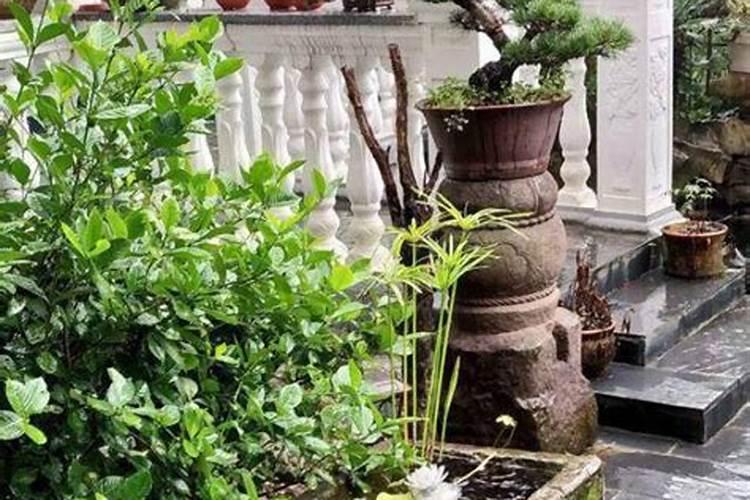 花盆摆放风水