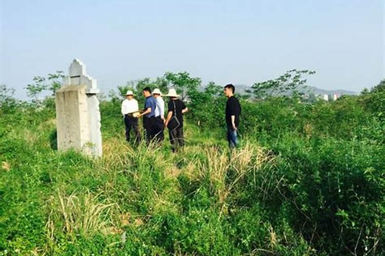 丹江口水库最佳旅游景点,湖北旅游打卡宝地推荐