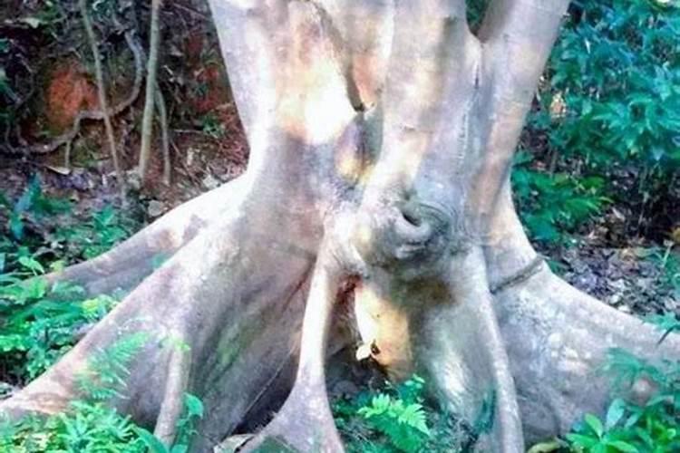 龙脉是从哪个方向往哪个方向走