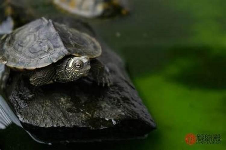 贵阳风水大师有哪些