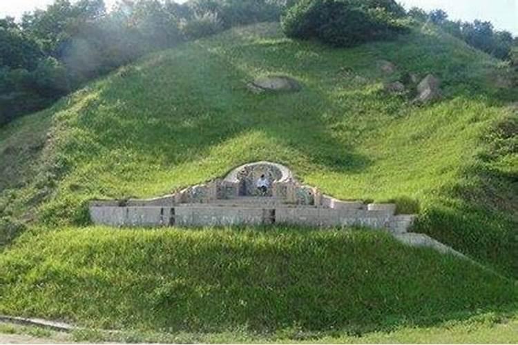 七彩神仙鱼的风水学应用七彩神仙鱼有什么风水学应用