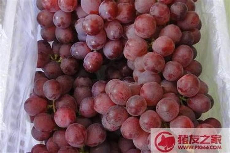 女子轻信“算命大师”被骗财骗色,这些骗子是怎么成为大师的？