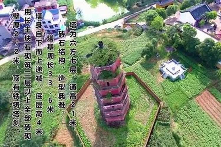 中国现代大师排名,全国最著名的老师有哪些？  知乎