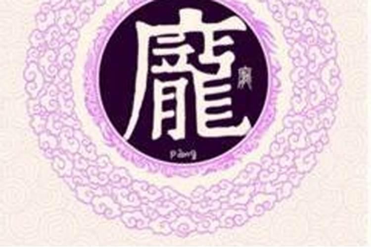 龟壳镇宅挂哪里