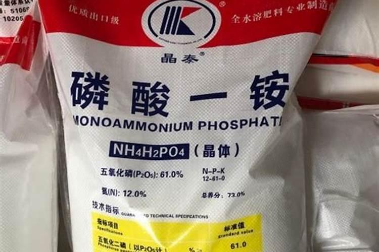 种桑树在风水上有什么说法
